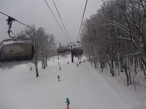 201602nozawa10s