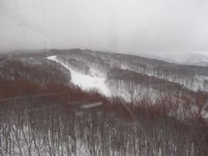 201602nozawa5s
