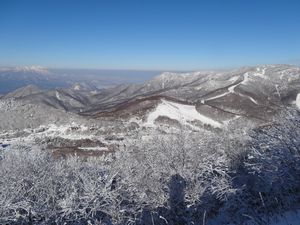 20161217313