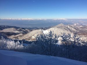 20161217IMG4985