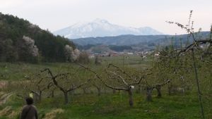 20170503164606
