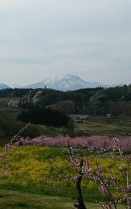 20170503hana01